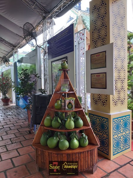 50 Năm Thực Hiện Di Chúc Thiêng Liêng Của Chủ Tịch Hồ Chí Minh - Hình 25 50 Năm Thực Hiện Di Chúc Thiêng Liêng Của Chủ Tịch Hồ Chí Minh - Hình 25